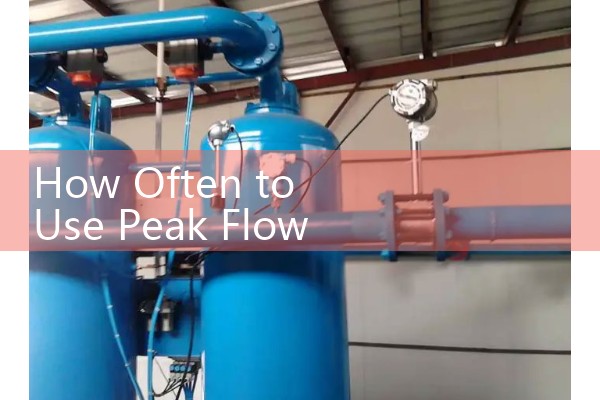How Often to Use Peak Flow Meter: Tracked daily as part of an asthma action plan to manage respiratory changes effectively.