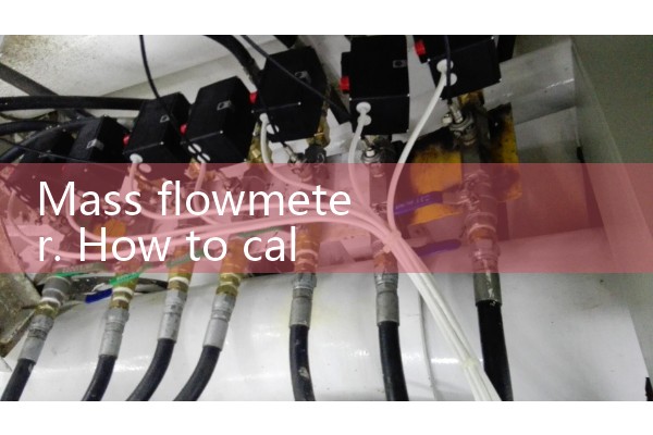 Mass flowmeter. ..
