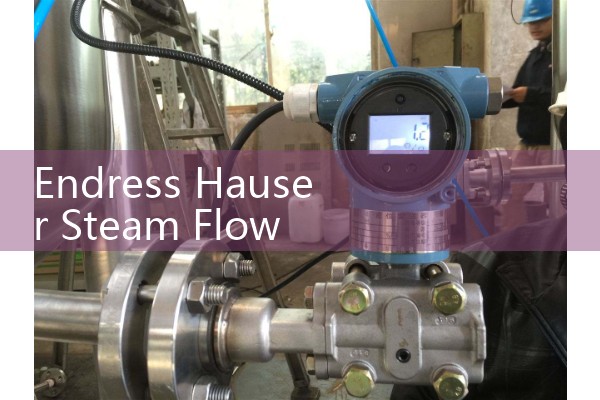 Endress Hauser Steam Flow Meter Sizing: Vortex and DP Solutions for Accurate Energy Audits