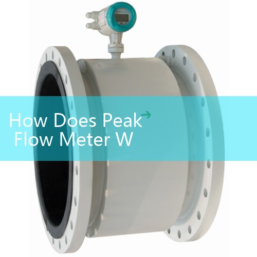 How Does Peak Flow Meter Work: Offers real-time visibility into lung capacity by registering the absolute peak velocity of forced exhalations.