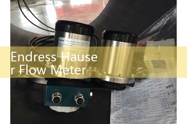 Endress Hauser Flow Meter Configuration Tutorial: Setting Up 4-20mA Outputs and Modbus