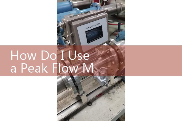 How Do I Use a Peak Flow Meter: Step-by-Step Patient Guide