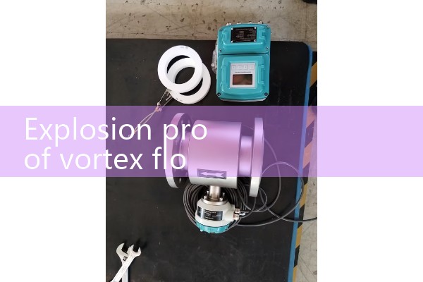 Explosion proof vortex flowmeter manufacturer