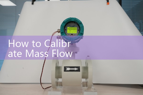 How to Calibrate Mass Flow Meter: Adjust internal density and temperature compensation slopes to match certified lab master standards.