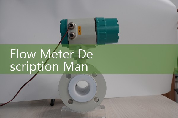 Flow Meter Description Manual: Introduction to Industrial Liquid and Gas Volumetric Sensors