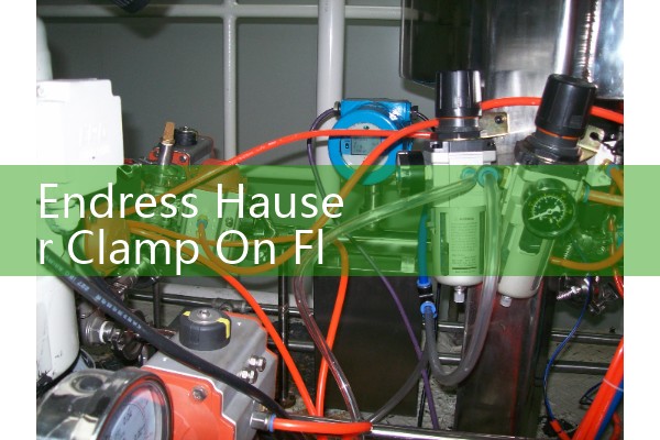 Endress Hauser Clamp On Flow Meter Prosonic Flow: Portable Liquid Monitoring Guide