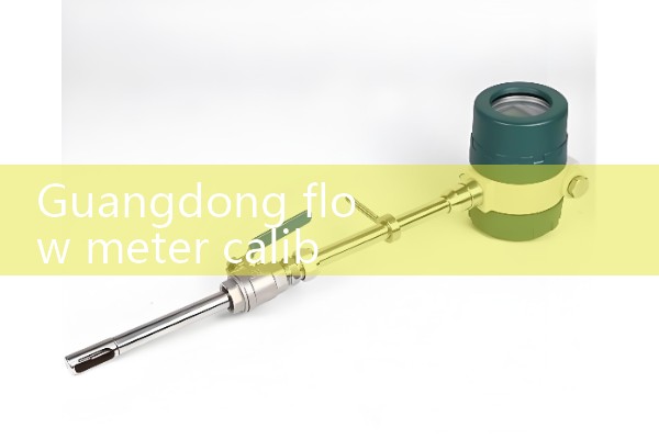 Guangdong flowmeter calibration