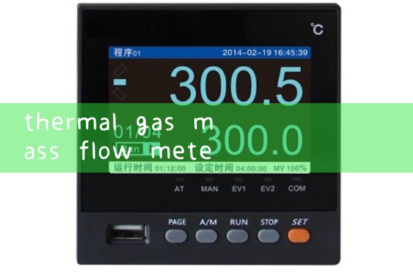 thermal gas mass flow meter|heat flow meter