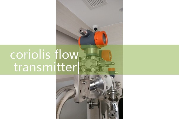 coriolis flow transmitter|heat flow meter