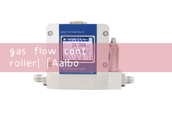 gas flow controller|air flow meter